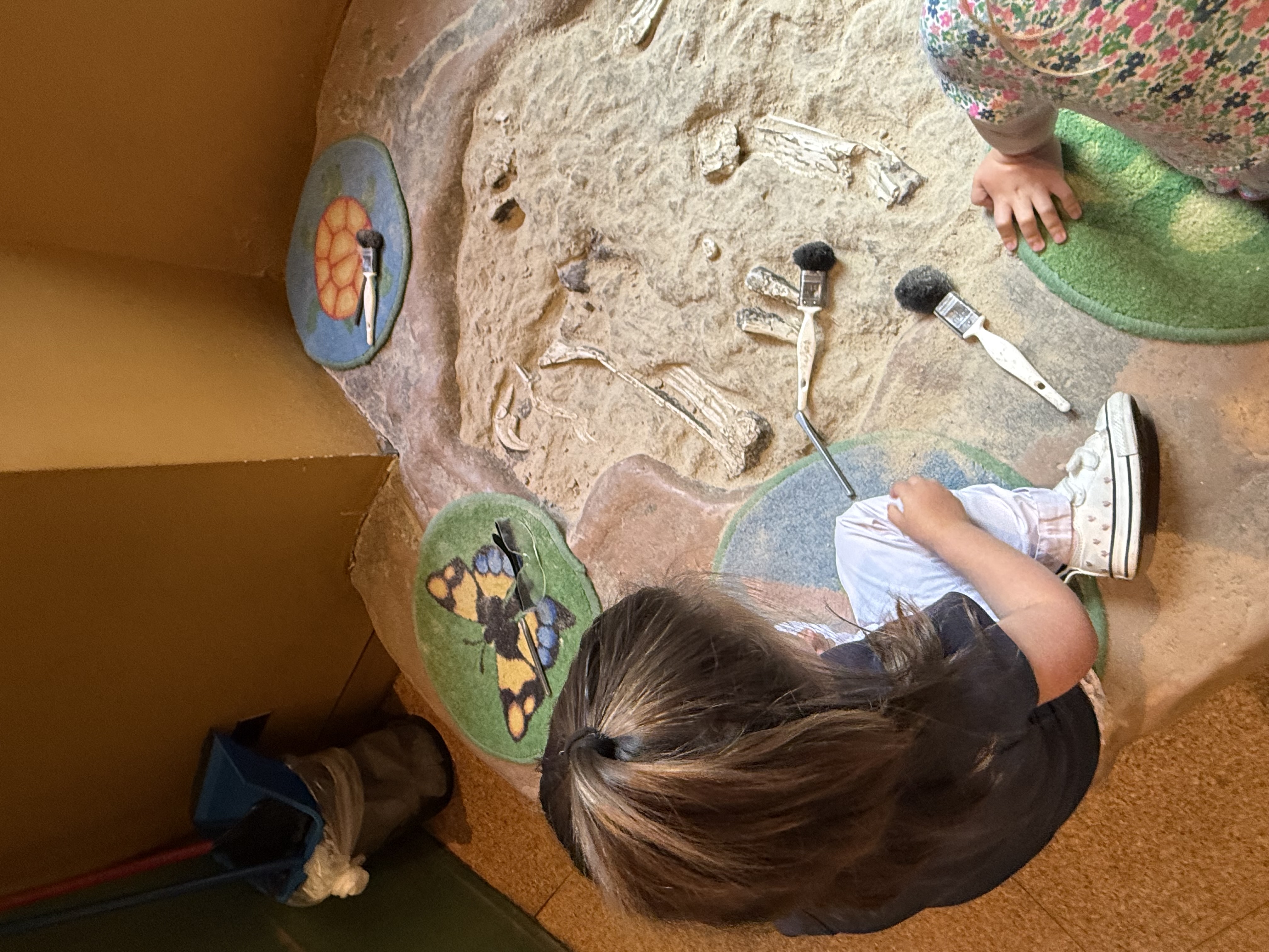 A child brushing away sand to uncover fossils at the Discovery Room's dinosaur dig
